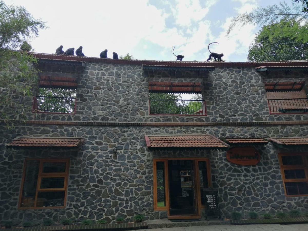 Bed and Breakfast Wildernest Thekkady Exterior foto