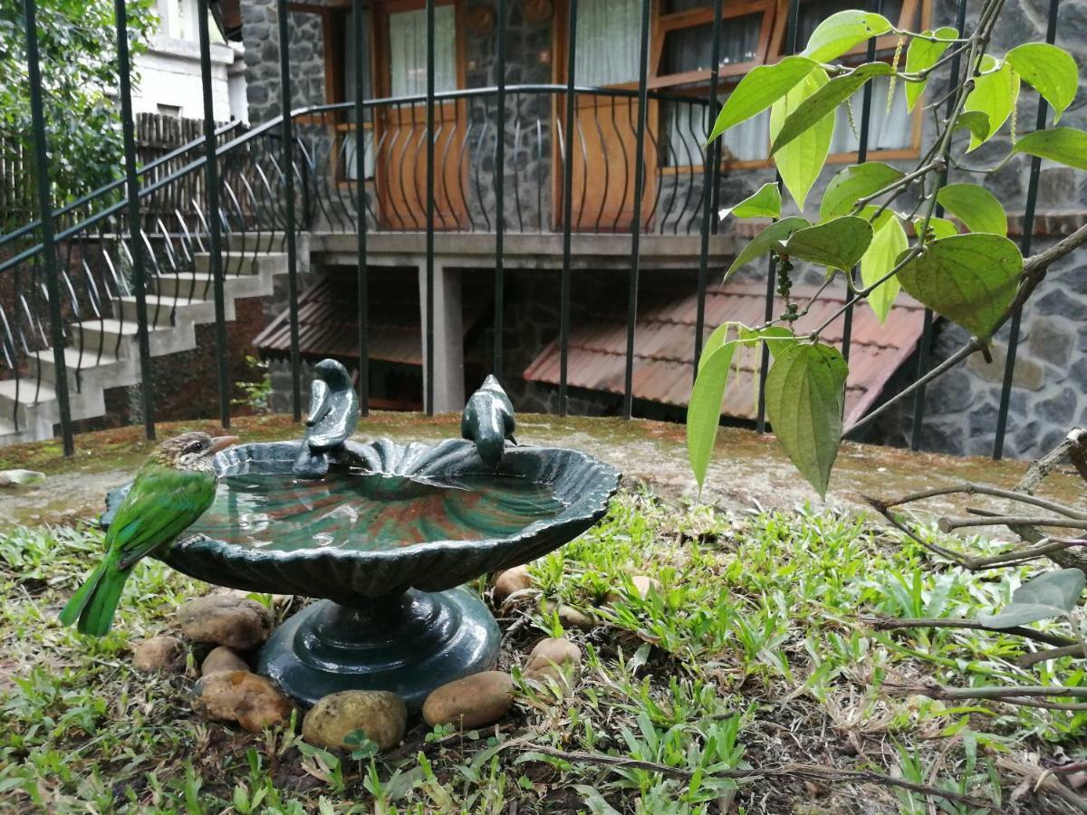 Bed and Breakfast Wildernest Thekkady Exterior foto