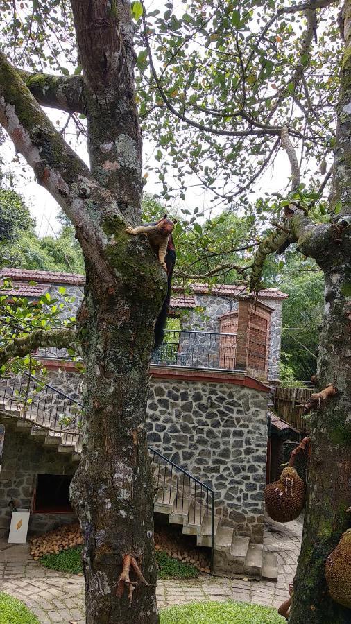 Bed and Breakfast Wildernest Thekkady Exterior foto