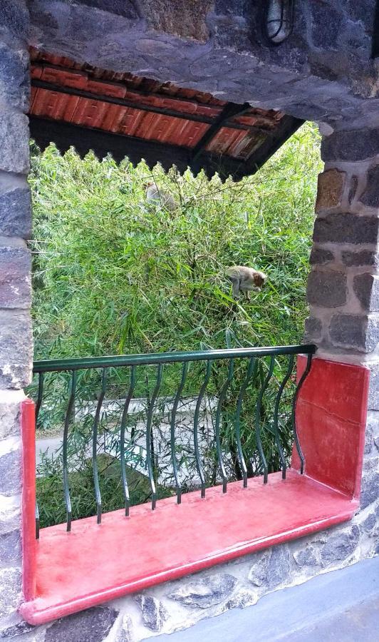 Bed and Breakfast Wildernest Thekkady Exterior foto